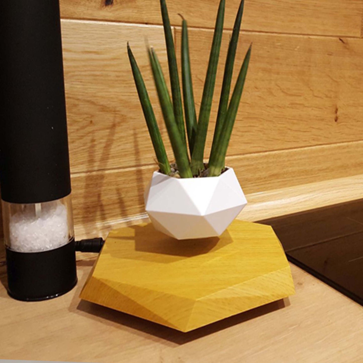 Floating Magnetic Levitating Flower Pot